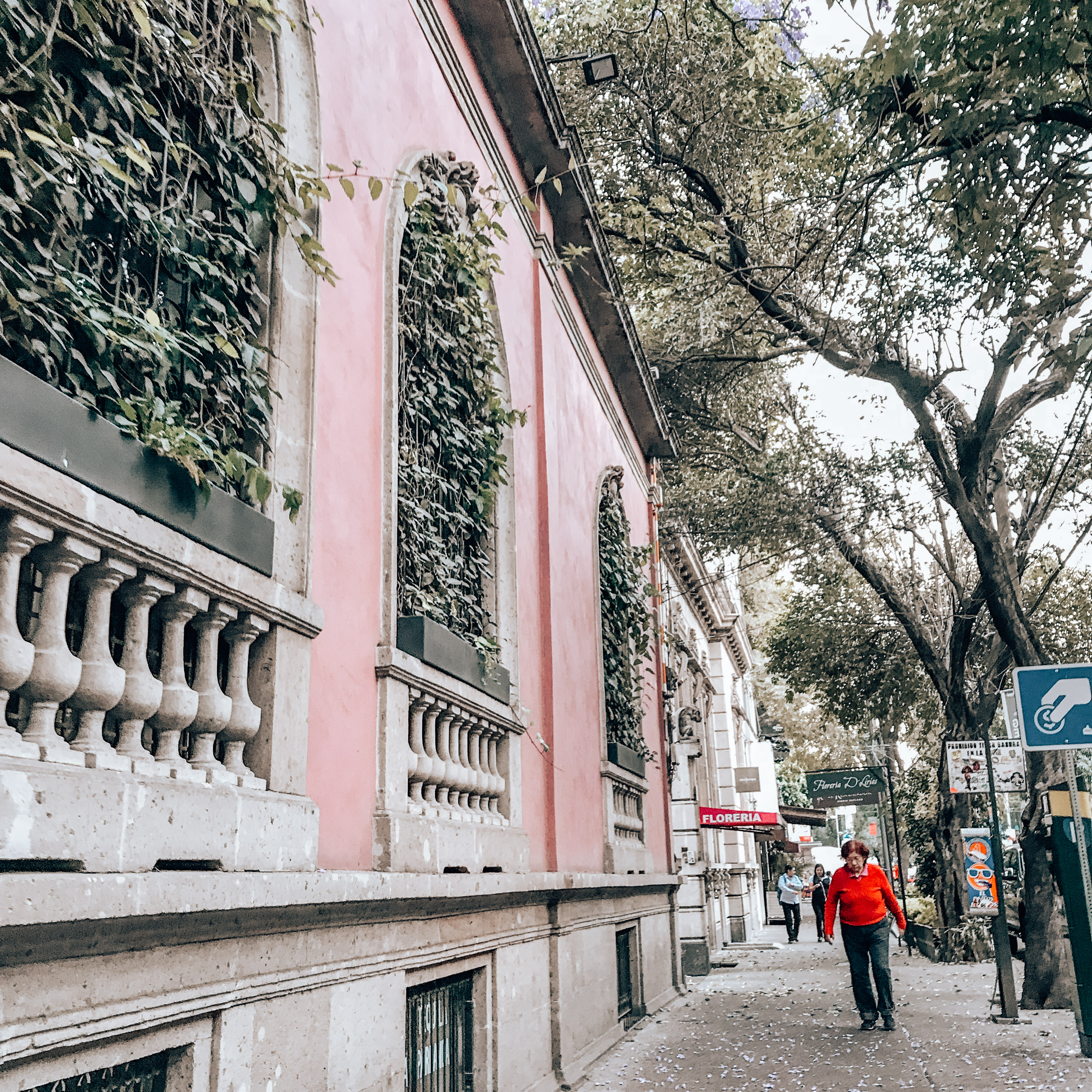 Pink building in Roma Norte, Mexico City. 