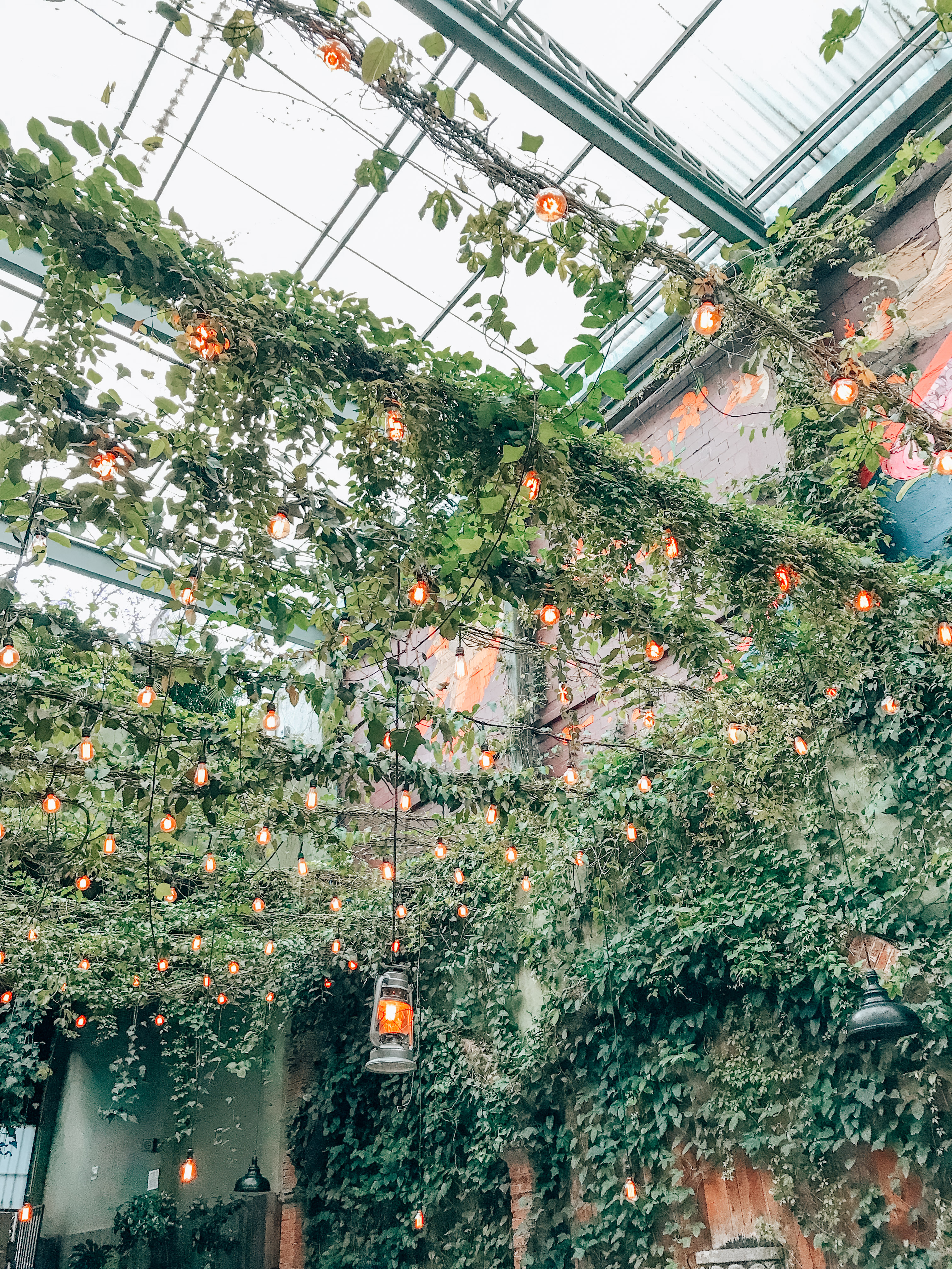 Ambiance lighting surrounded by greenery. 